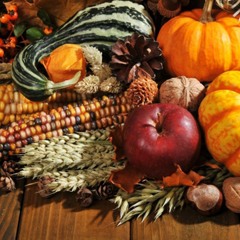 The King of Instruments, ep. 337 - November 23, 2025 - Thanksgiving