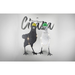 Ursaru x Berechet - Cioara 🐦‍⬛