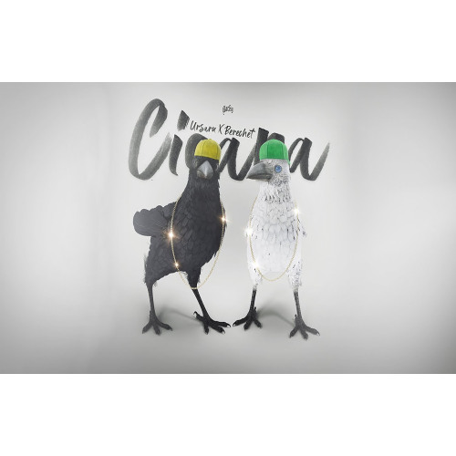 Ursaru x Berechet - Cioara 🐦‍⬛