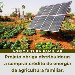 Projeto obriga distribuidoras a comprar crédito de energia da agricultura familiar