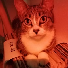 Hypnotica minimalitica