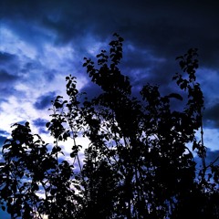Touching The Sky