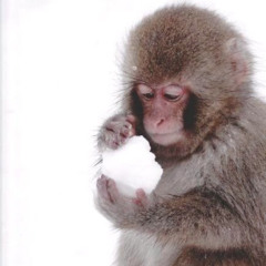 yunglilhomie - The Morning (prod. Gangster Bear)