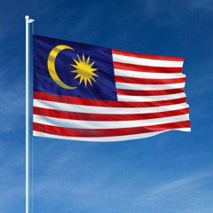 1 MALAYSIA [nigth .tiger]