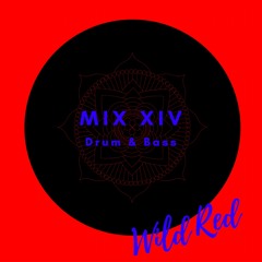 Drum and Bass {live mix}