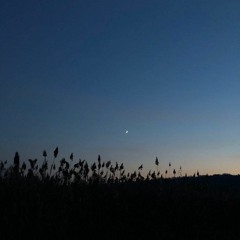 Soulvibes & Vagante Event (Atmospheric Night Mix)