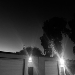 19hz 020825