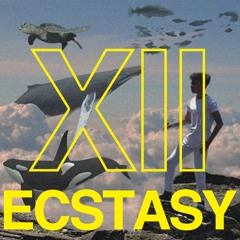 Ecstasy XII