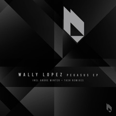 Pegasus (Andre Winter Remix)