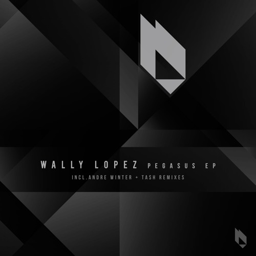 Pegasus (Andre Winter Remix)