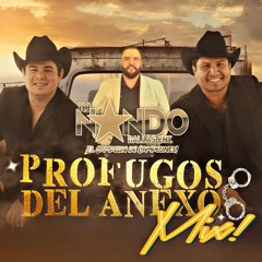 PROFUGOS DEl ANEXO MX  DJ NANDO 2024