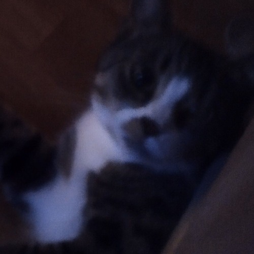 Мне так плохо (Hard Style 1.2 speed cropped)