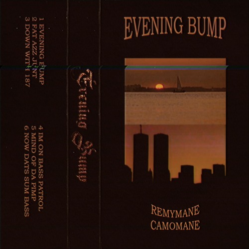 EVENING BUMP w/ CAMOMANE