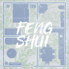FENG SHUI (DJ VERSION)