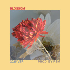 Blossom (2025 Ver.)