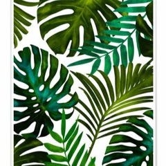 Tropicapril Mix Claudecloud