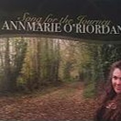 May We All Someday Meet Again - Annmarie O'Riordan