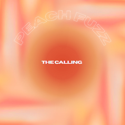 The Calling (Original mix)