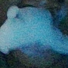 RUU/RYEK- EVERYTHINGS_A_SIMULATION/wifi tribute (prod.sickboi) RIP WIFI!!