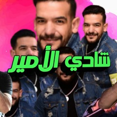 شادي الأمير وصاني أبويا