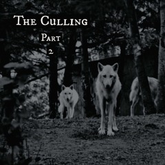 The Culling Part 2 (prod. Smoochie Beats)