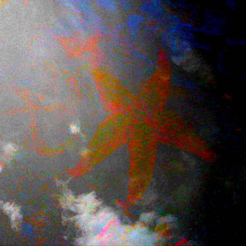 Woooooo (unreleased demo)