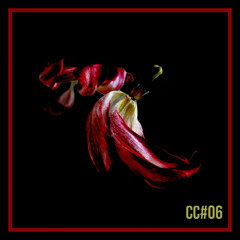 LTR Premiere: Don Creek - Fragmented [Cosmicadence]