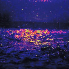 Unallowed - Rain