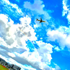 FLY (prod.bigDog Oof)