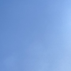 아가파오 -사자와 어린양