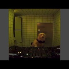 Meat Computer - Relief Fleeting