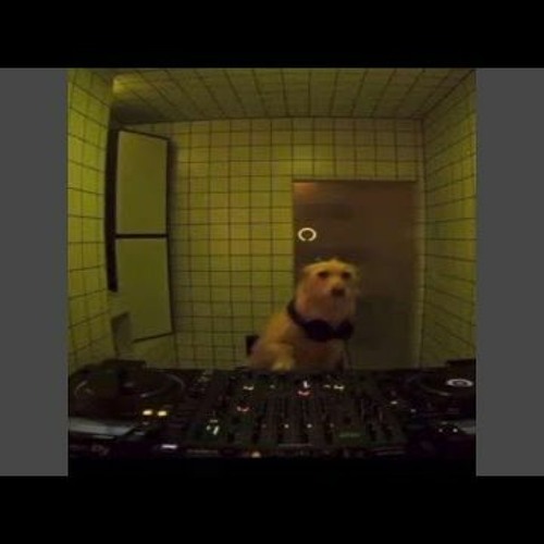 Meat Computer - Relief Fleeting