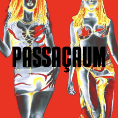 Clementaum, Karol Conká, felino, Gab Santana - PASSAÇAUM (Remix)