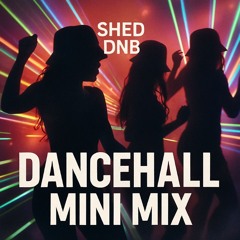 Dancehall Mini Mix