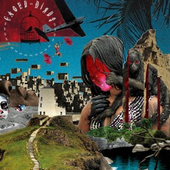 The Hogstad Brothers & Shola Adisa-Farrar – Caged Birds (single)