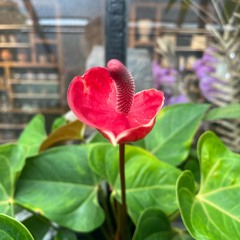 Any Brighter Day.mp3