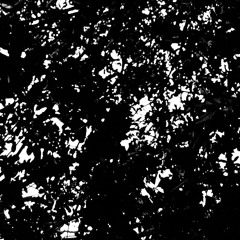 Falsas Premisas - Control total