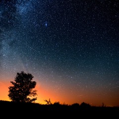 Through the Night Sky