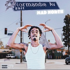 MAD NORTH - NORMAN AVE SHIT
