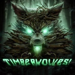 Timberwolves! (VIP Mix)