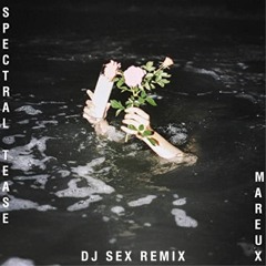 Mareux - Spectral Tease (DJ Sex Remix)