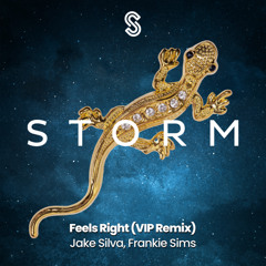 Feels Right (VIP Remix) (Radio Edit)