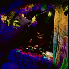 Waves of Winter x Grassroots Grooves 1.11.25[PSYTECH]