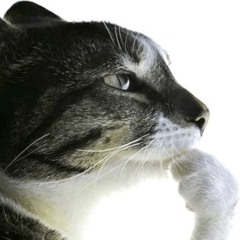 v.rxyyy - percocet ft ohsxnta (prod. perc40)