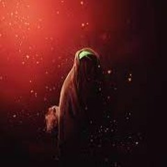 خطبة ذي الفقار | حمزة ملا علي