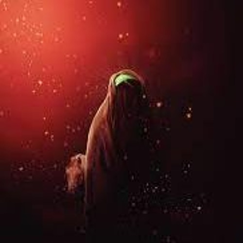 خطبة ذي الفقار | حمزة ملا علي