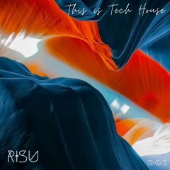THIS IS TECH HOUSE 001