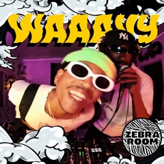 WAAAVY @ Zebra Room (Live Dj Set)