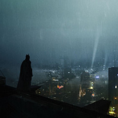 Batman x perfect girl