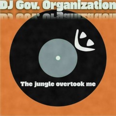 DJ Government Organization!!!